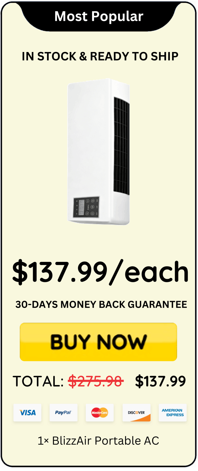 BlizzAir Portable AC offer price 