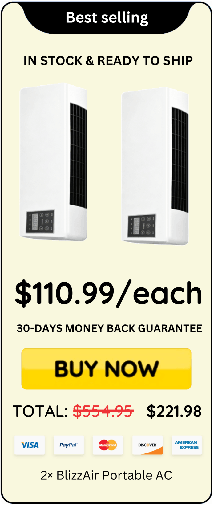BlizzAir Portable AC offer price 